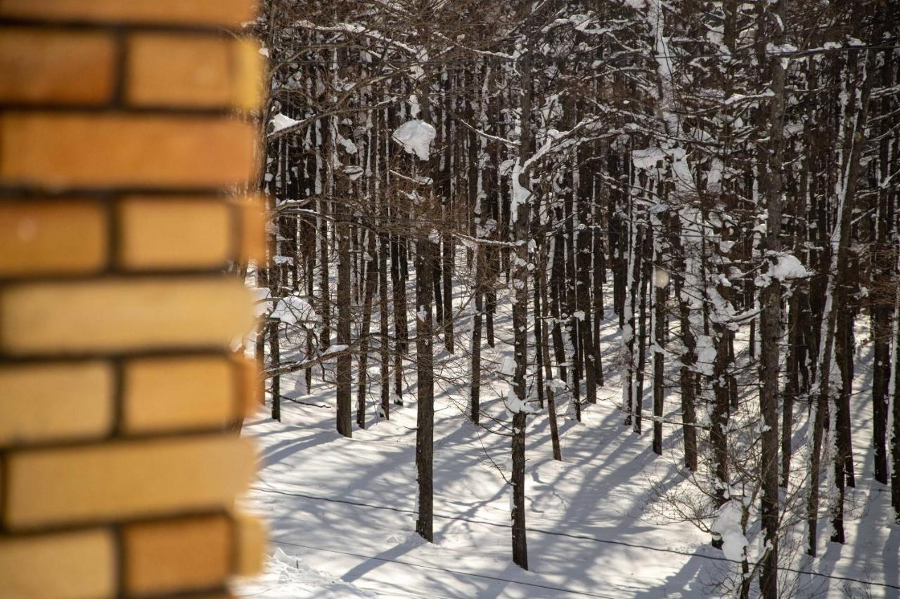 Canopy Lodge - Boutique Lodge At Hakuba Cortina Otari Dış mekan fotoğraf